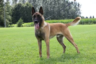 10679653_982772428402768_6184490185284582356_o