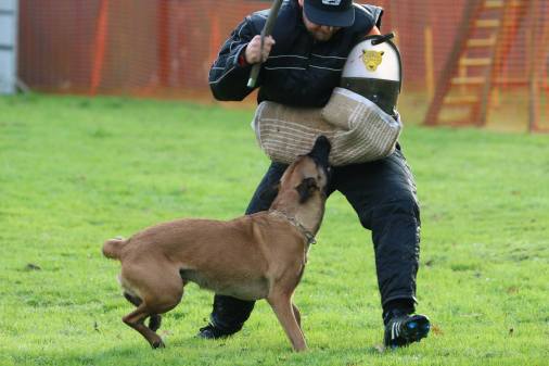 1548069_10152849227538468_7917860264209736346_o