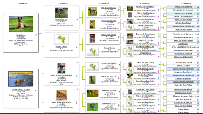 Screen Shot 2014-11-07 at 10.31.30