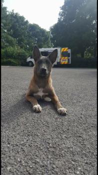 13590247_1020428261340336_2150976685181973126_n