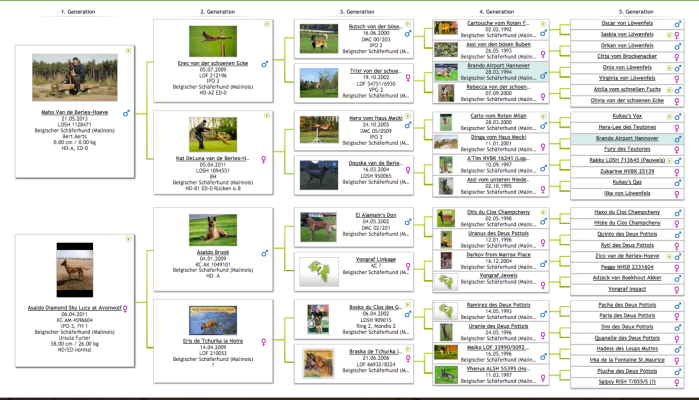 Screen Shot 2014-11-07 at 10.32.47