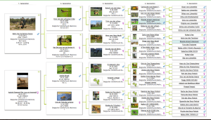 Screen Shot 2014-11-07 at 10.32.47
