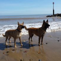 1924378_414627765383655_1948679776805174293_n