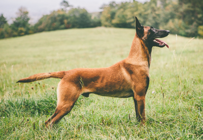 Screen Shot 2014-11-07 at 10.49.21