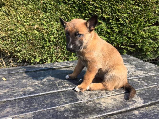 10261951_955817577801405_2730225261719920943_n