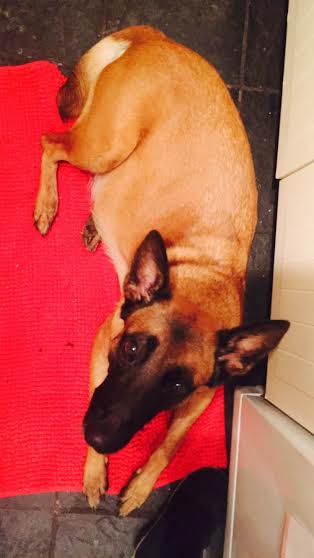 490aa7e1-fab4-4d7f-ac73-2075bb269abb