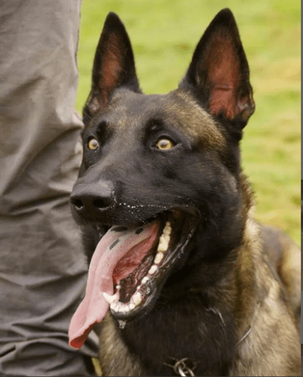 Screen Shot 2015-03-26 at 23.57.47