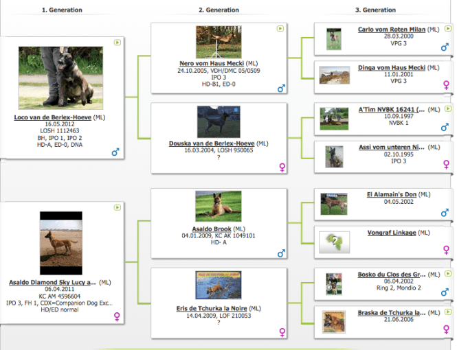 Screen Shot 2015-09-25 at 09.56.54