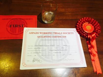 10609549_782925935090571_4137810873944462713_n