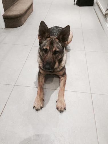 11024623_10153038985432200_1009192944763228809_n