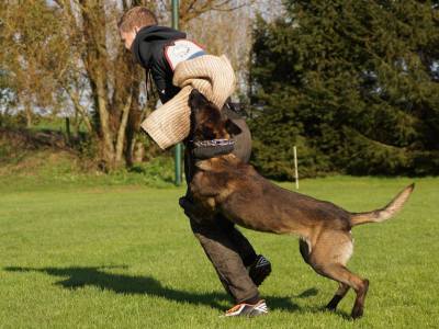 10176133_731635303596043_7729413408933964583_n