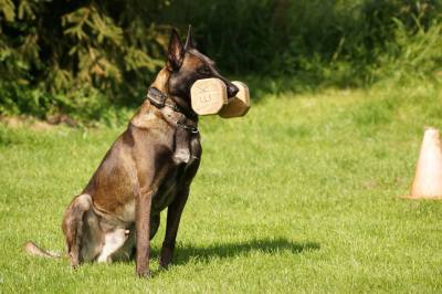 10384932_702739733152267_4782167345511955435_n