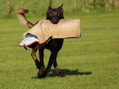 10389123_731635316929375_6161951428843878402_n