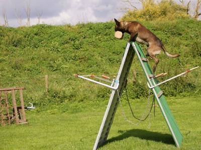 10392452_702740026485571_3196429713893780623_n