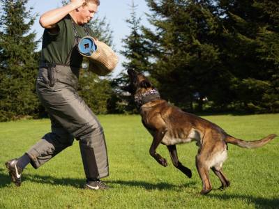 10420238_731635426929364_3940965847912101139_n