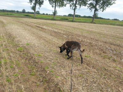 10592944_694103664015874_1761585232189038831_n