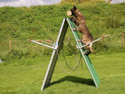 10649564_702739989818908_5703041989701327047_n