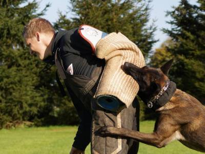 10672119_731635250262715_5868091332558101784_n