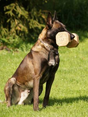 10710780_702739706485603_5096316052277336679_n