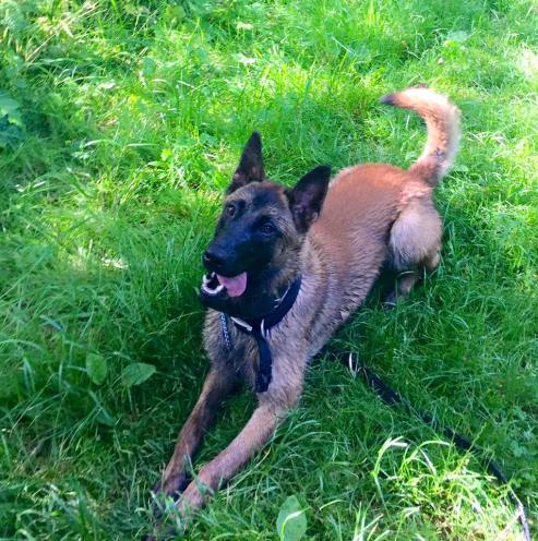 11254390_10206137119843077_4741582481452053779_n