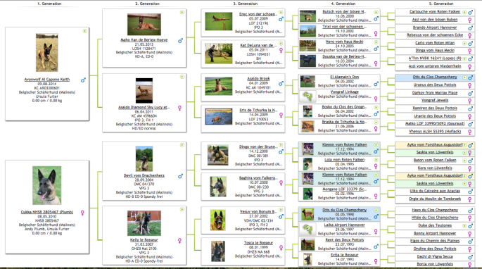 Screen Shot 2015-06-20 at 10.16.44