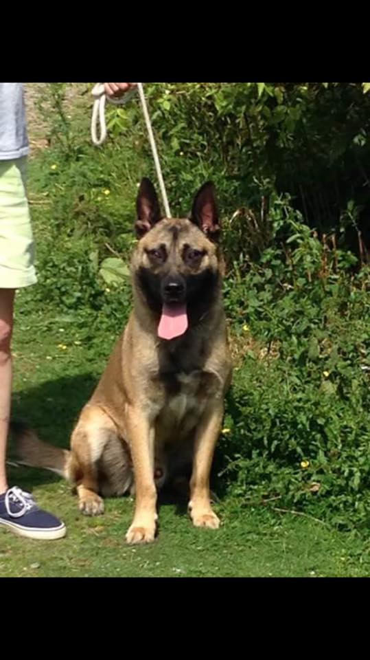 11667425_848148525234978_6443475658122470645_n