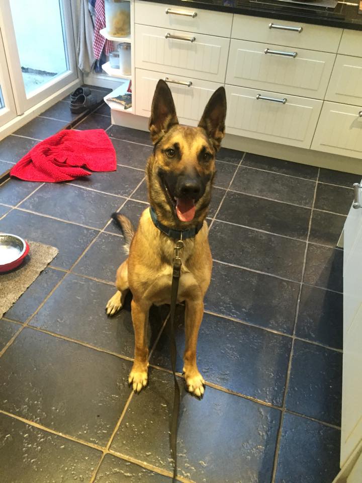 11960232_871086616274502_5822455714654264766_n