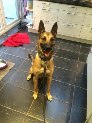 11960232_871086616274502_5822455714654264766_n