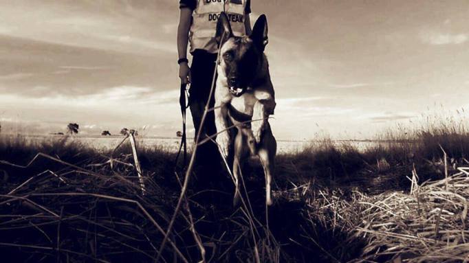 11990681_871808329535664_105838853490892865_n