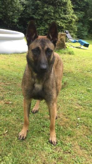 13781687_1026867660696396_1540387183792380534_n