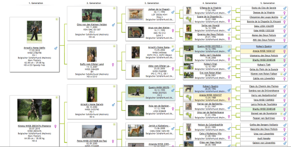 Screen Shot 2015-10-23 at 10.11.04