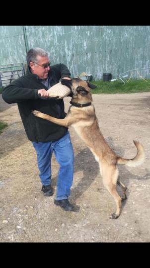 12033111_880633301986500_5700016672891778799_n