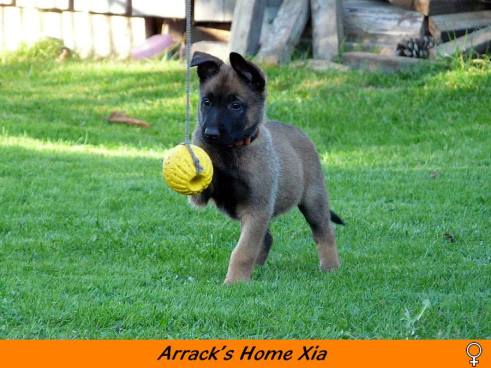 12039297_1019262078136329_3223093221581165248_n