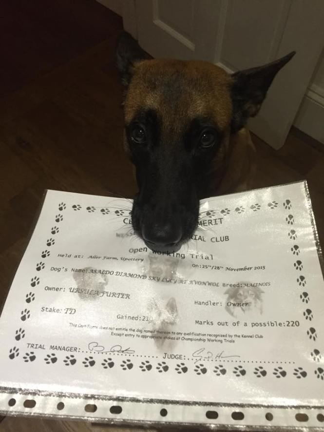 12289470_904655602917603_434189103996858422_n