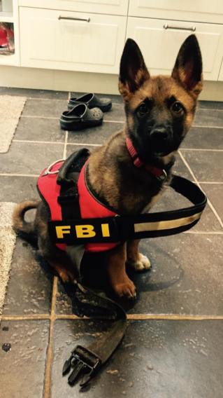 12308321_903661026350394_258184478935101331_n