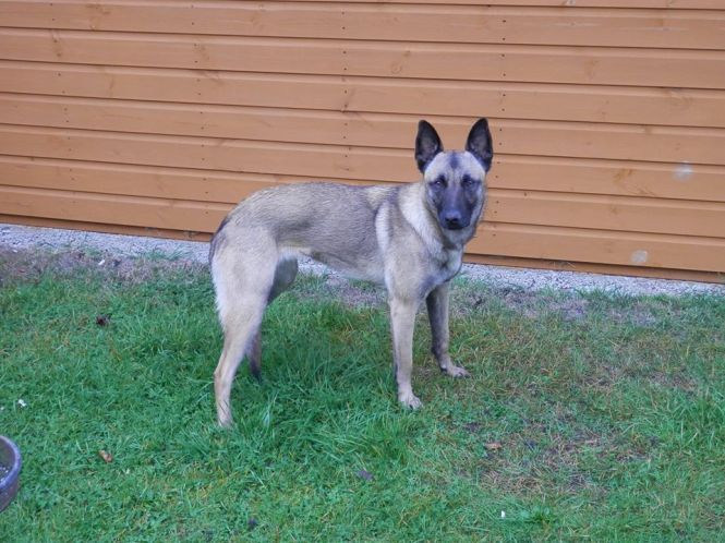 12316086_926624354083137_4713010479049453405_n