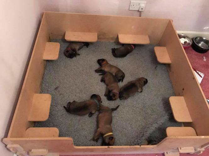 15726204_1171864859530008_2245636053734818205_n