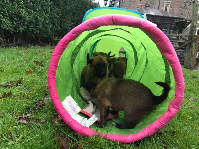 16144214_10209701106822924_112274694_n