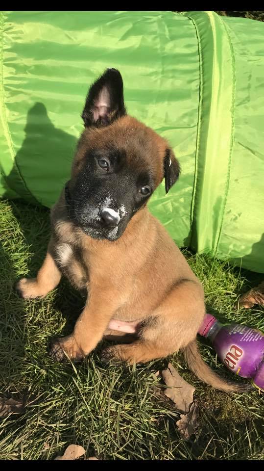 16298576_1192310580818769_8033213614975733251_n