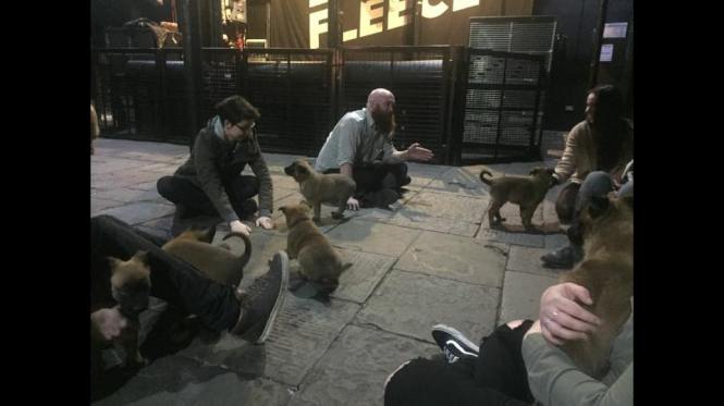 16425726_1201065129943314_5148471565537672911_n