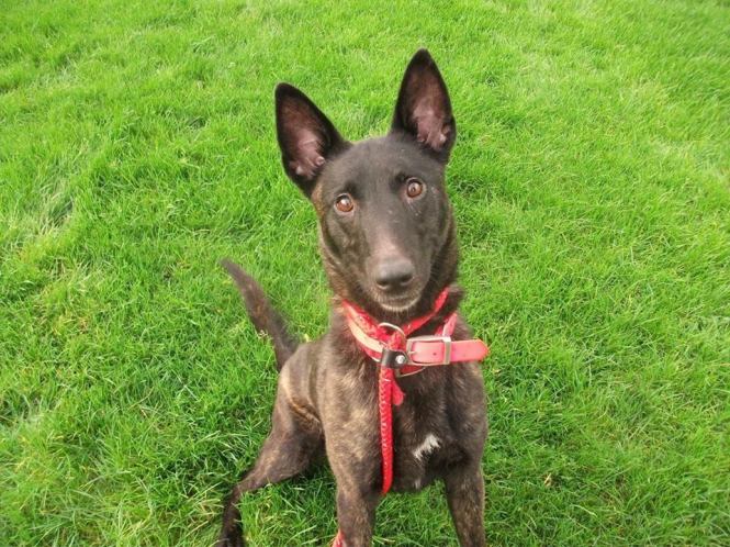 12467947_10208759077921380_1686807669_n