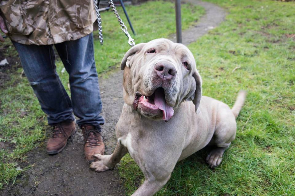 12729059_10208800508478699_4853705138185679263_n