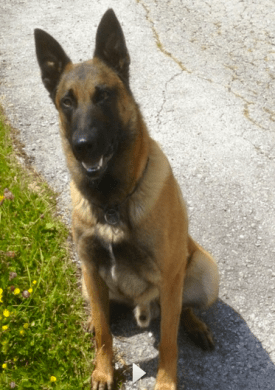 Screen Shot 2016-02-02 at 22.19.53