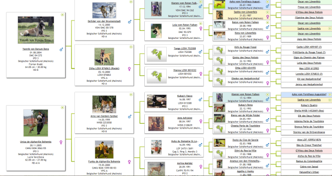 Screen Shot 2016-02-02 at 22.29.30.png