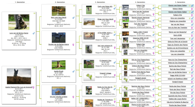 Screen Shot 2016-04-10 at 21.23.21.png