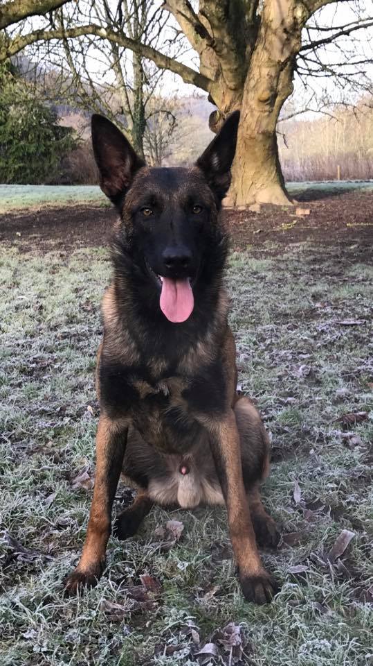 15747698_1169531199763374_422778610639014324_n