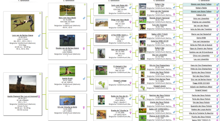 Screen Shot 2016-06-02 at 20.00.08.png