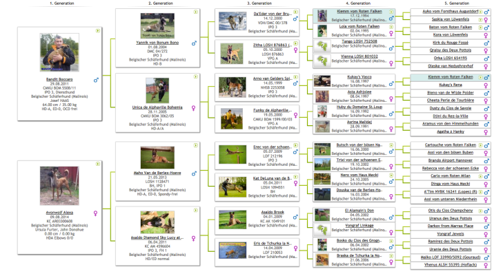 Screen Shot 2016-07-25 at 18.12.03.png