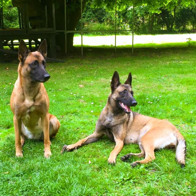 13891921_1040030282713467_5025825612311914572_n