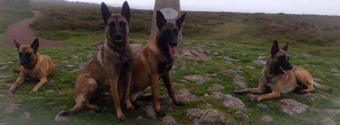 14203120_10208496188380716_9115985043364044929_n